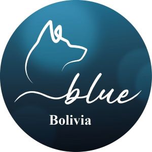 Blue - Residentes Bolivianos